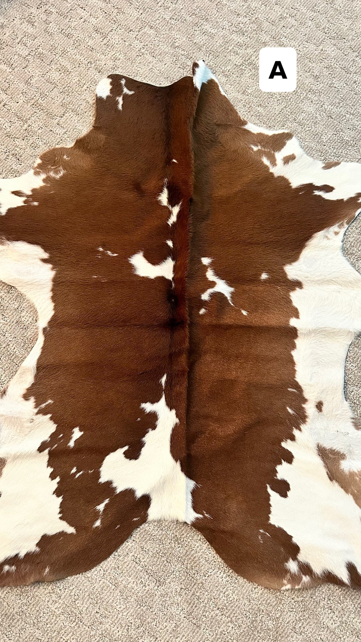 Calf Hides (+colors)