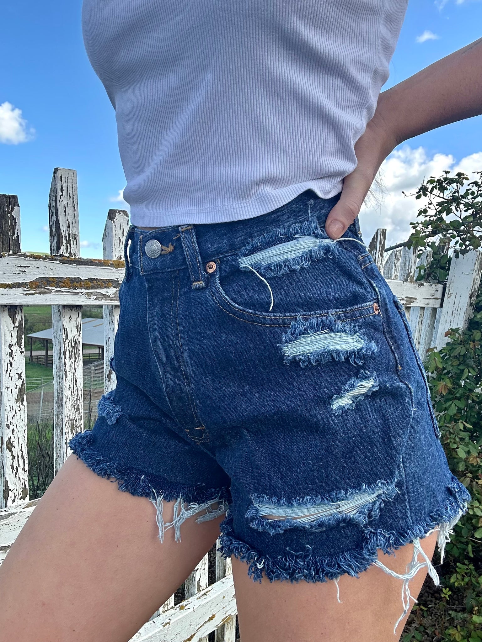 Vintage Gap Shorts (26/27”)