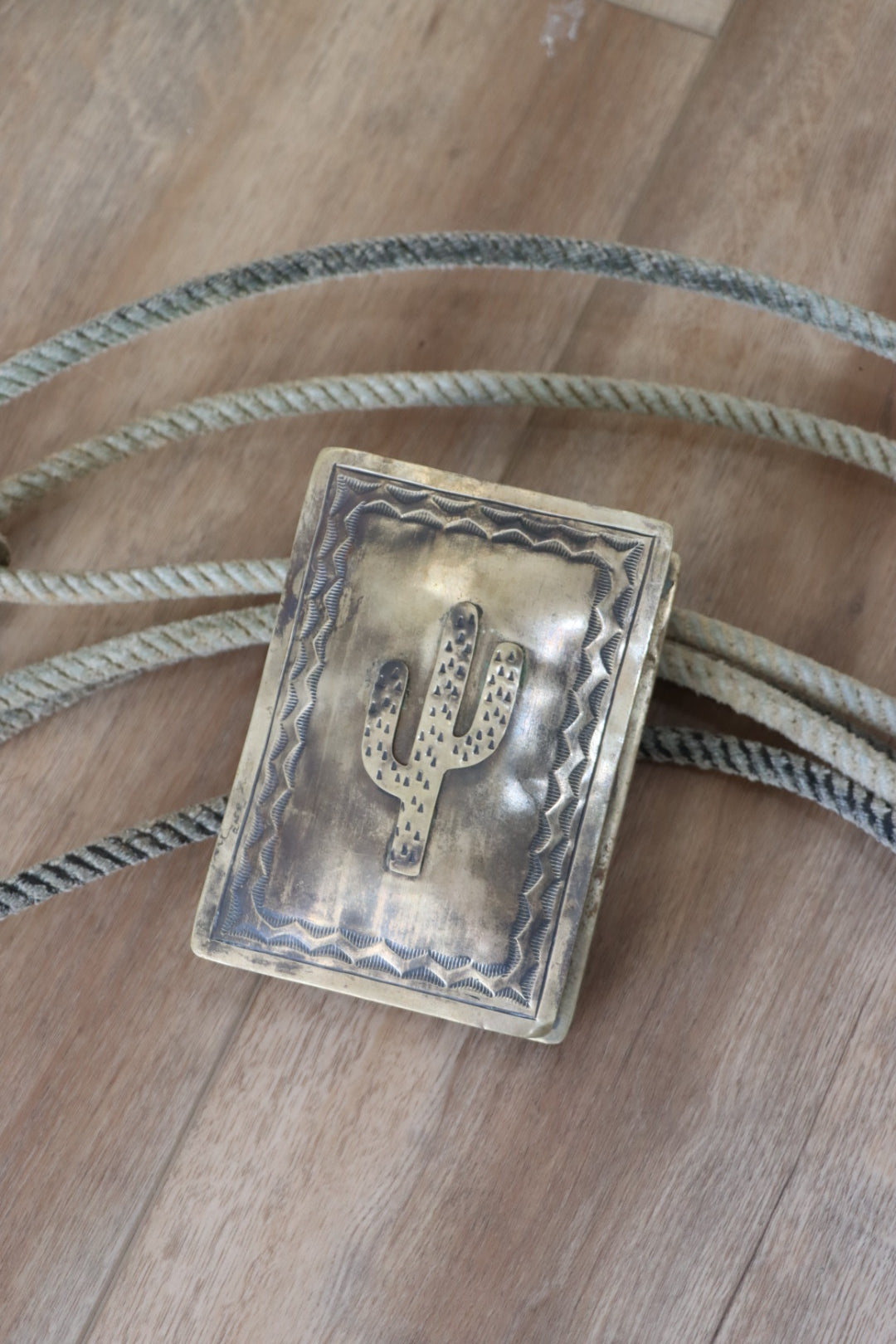 Silver Cactus Box