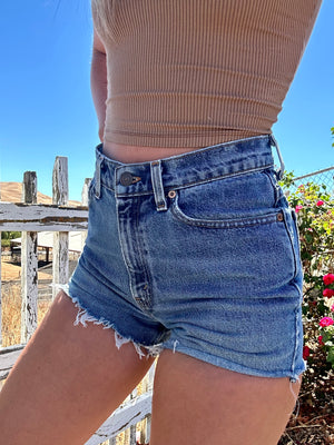 Vintage Levi Shorts (26/27”)