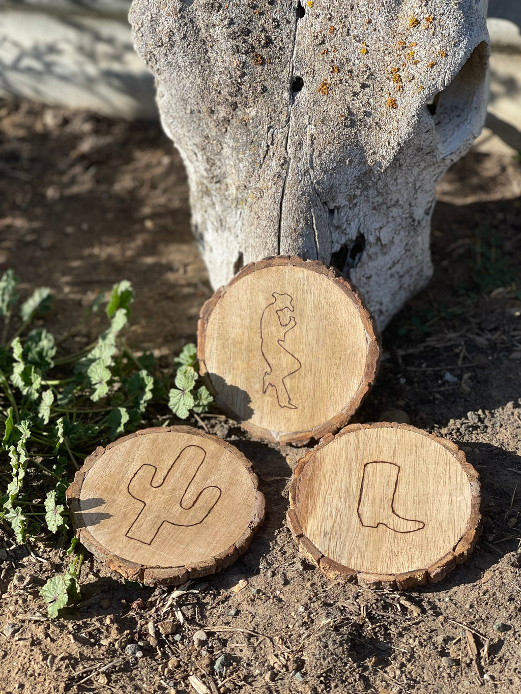 Western Wood Burned Coasters