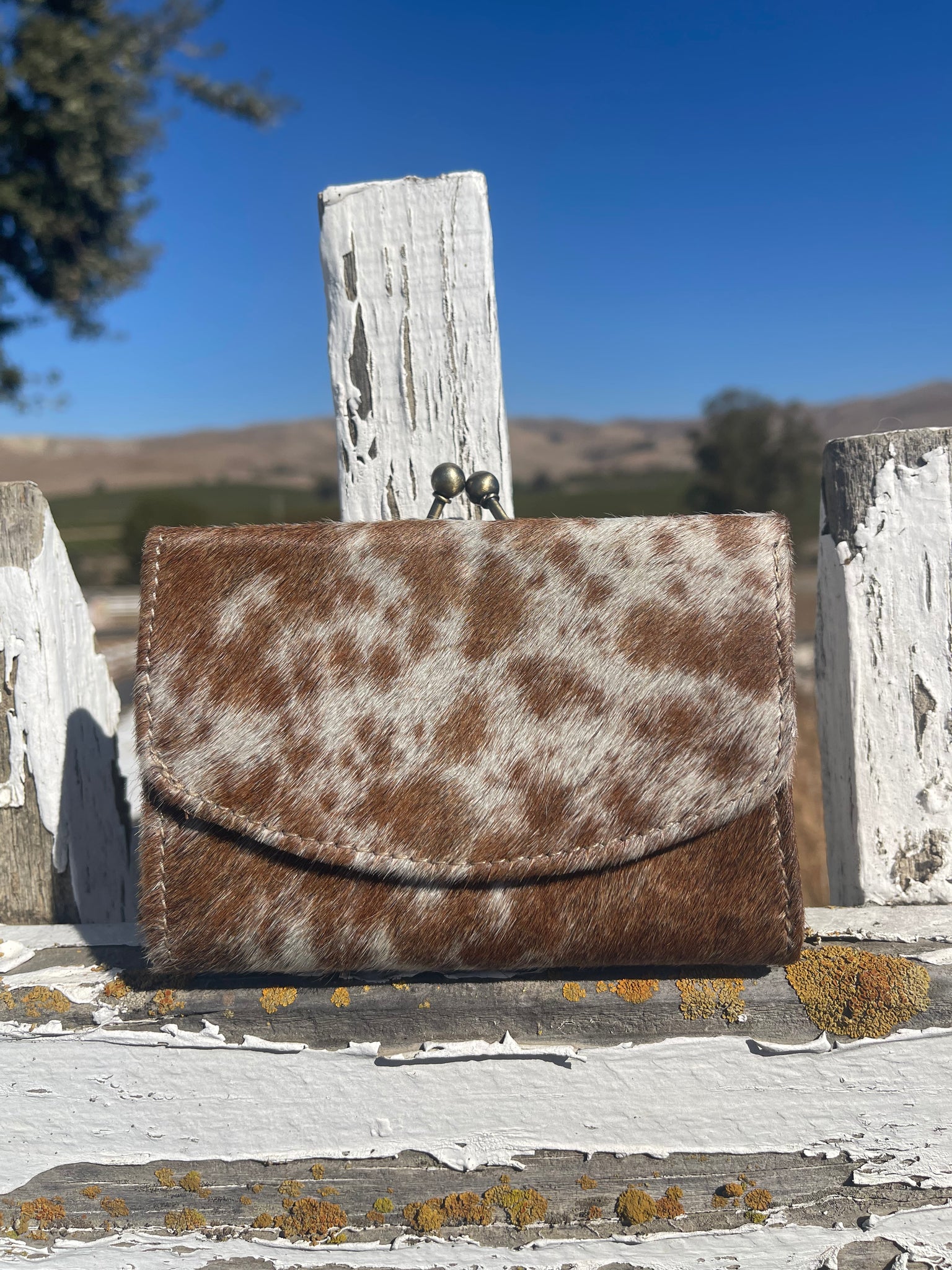 The Lottie Wallet
